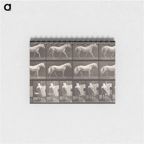 アートメモ帳-Walking Horse
 - エドワード マイブリッジ Memo.