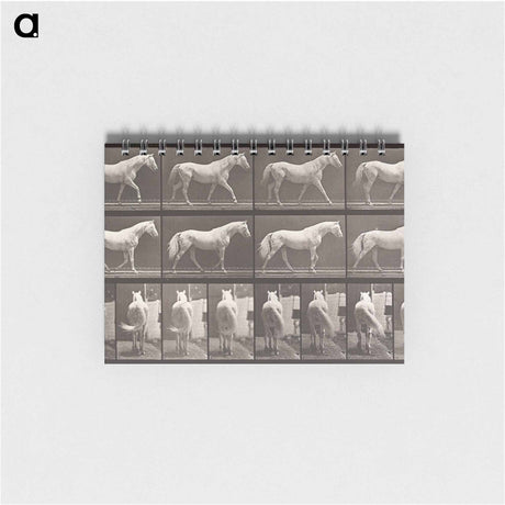 アートメモ帳-Walking Horse
 - エドワード マイブリッジ Memo.