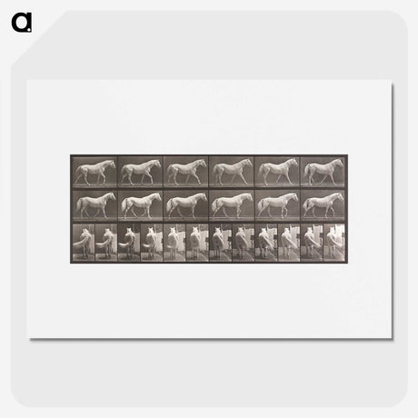 2-66_Eadweard-Muybridge_picture