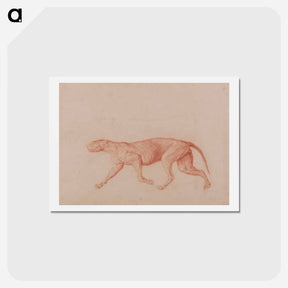 アートポストカード-Leopard Body, Lateral View
 - ジョージ スタッブス Postcard.