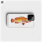 2-66_Ichtyologie-ou-Histoire-naturelle_phone