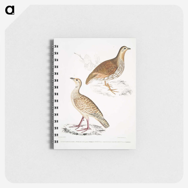 2-66_Indian-Zoology_memo