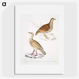 2-66_Indian-Zoology_picture