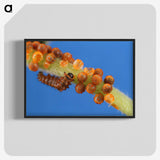 2-66_Insects-Unlocked-Project_blk-crop