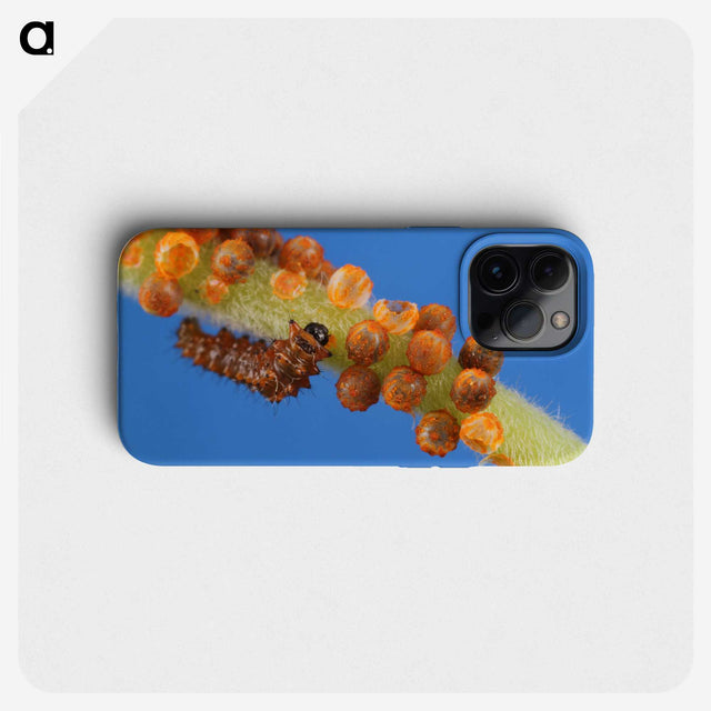 2-66_Insects-Unlocked-Project_phone