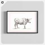 Standing bull - Jean Bernard Poster.