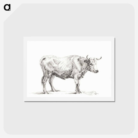 アートポストカード-Standing bull - ジャン ベルナール Postcard.