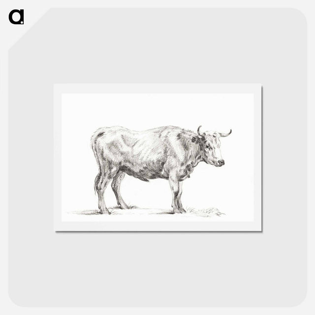 アートポストカード-Standing bull - ジャン ベルナール Postcard.