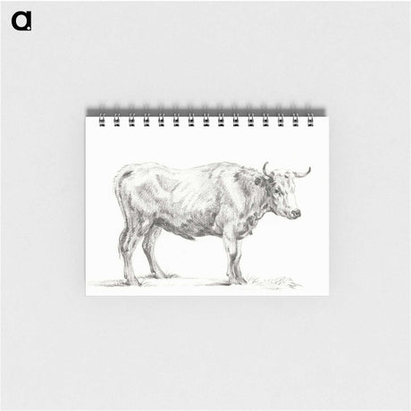 2-66_Jean-Bernard_memo