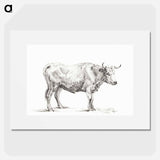 Standing bull - Jean Bernard Poster.
