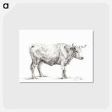 アートポストカード-Standing bull - ジャン ベルナール Postcard.