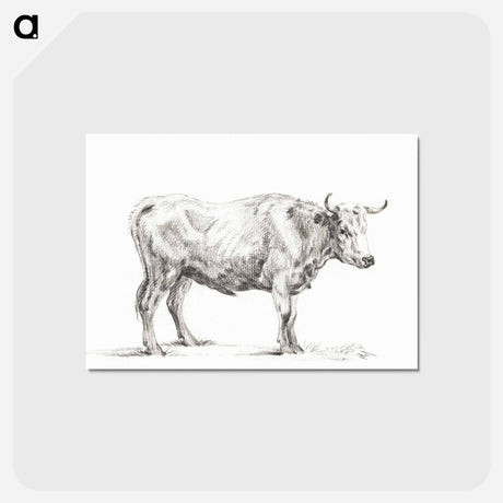アートポストカード-Standing bull - ジャン ベルナール Postcard.