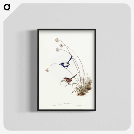 2-66_John-Gould_blk-crop