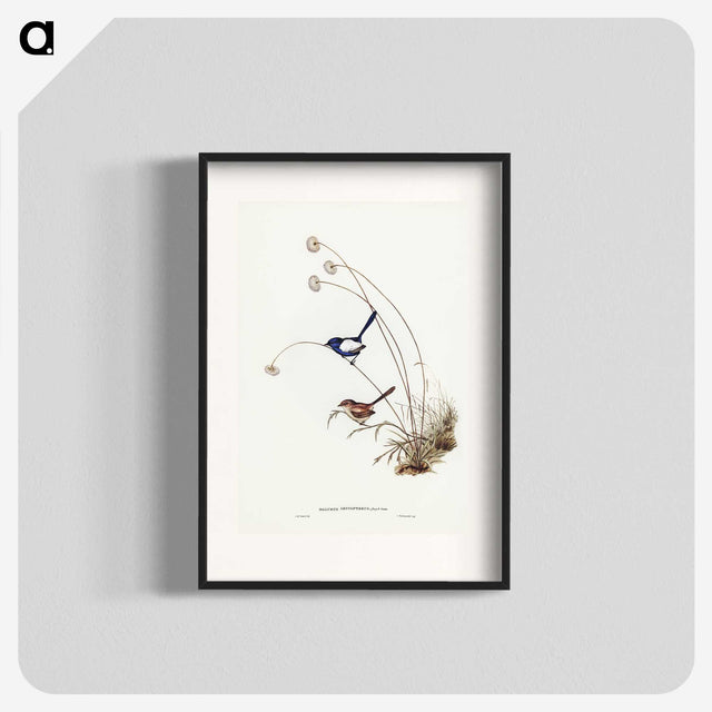 2-66_John-Gould_blk
