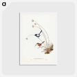 アートポストカード-White-winged Wren
 - ジョン グールド Postcard.