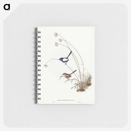 2-66_John-Gould_memo