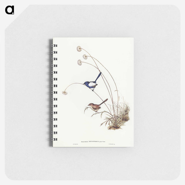 2-66_John-Gould_memo