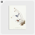 2-66_John-Gould_postcard