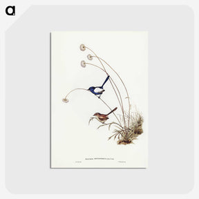 2-66_John-Gould_postcard