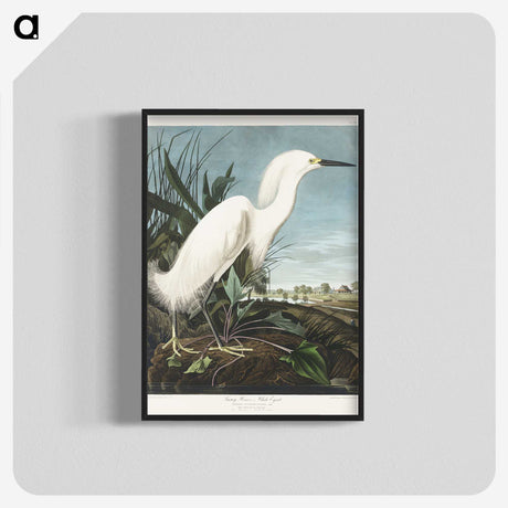 2-66_John-James-Audubon_blk-crop