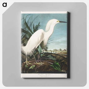 アートパネル-Snowy Heron
 - ジョン ジェームス オーデュボン Canvas.