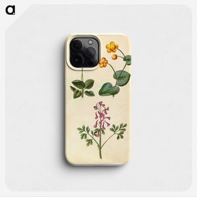 2-66_Maria-Sibylla-Merian_phone