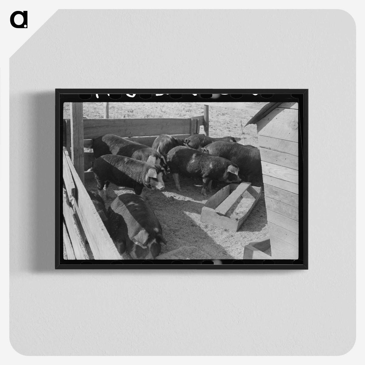 2-66_Marion-Post-Wolcott_blk-crop