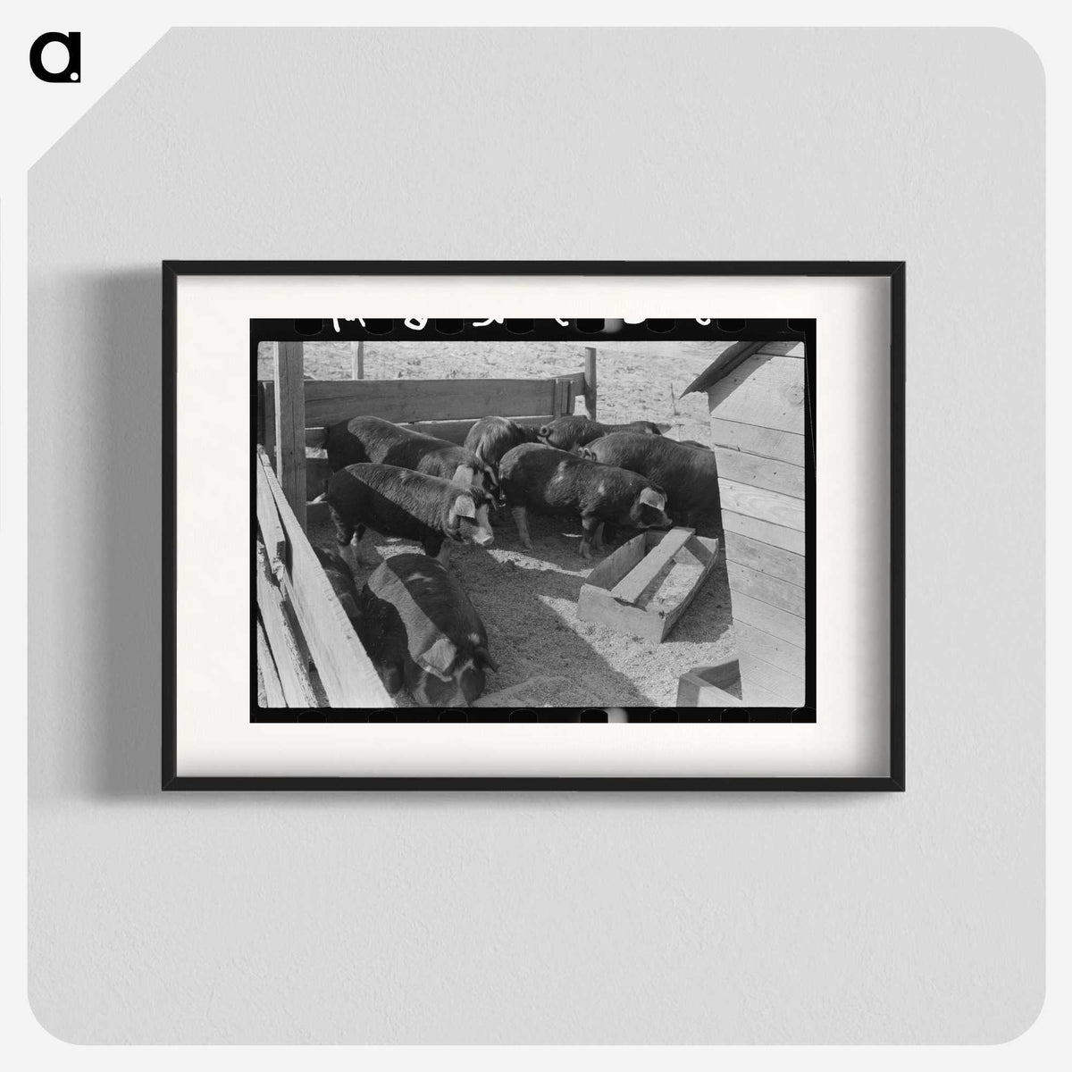 2-66_Marion-Post-Wolcott_blk