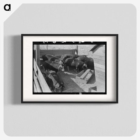 2-66_Marion-Post-Wolcott_blk