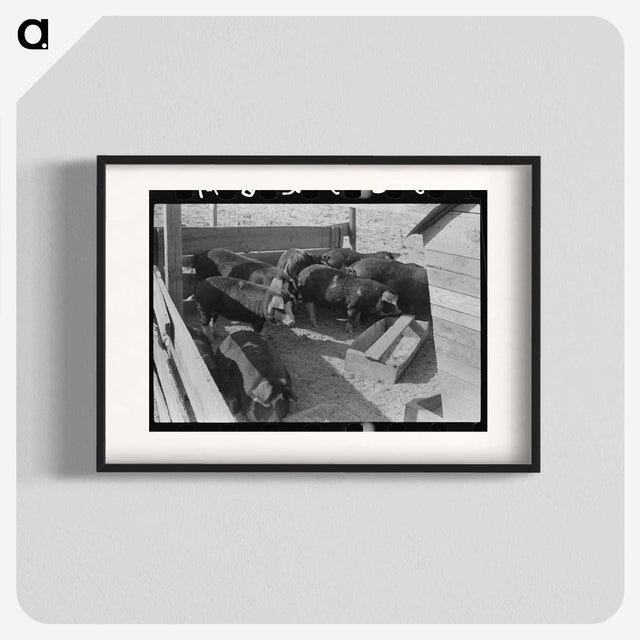 2-66_Marion-Post-Wolcott_blk