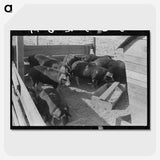 2-66_Marion-Post-Wolcott_picture-crop