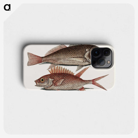 2-66_Mark-Catesby_phone