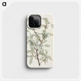 2-66_Mary-Vaux-Walcott_phone