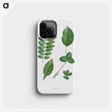 Tree leaf set - ピエール ジョゼフ ルドゥーテ Phone Case.