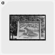 アートポストカード-Sign of Frog Company
 - ラッセル リー Postcard.