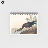 アートメモ帳-Glossy Ibis from Birds of America
 - アメリカの鳥たち Memo.