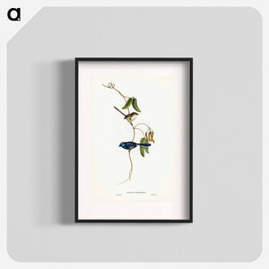 オーストラリア