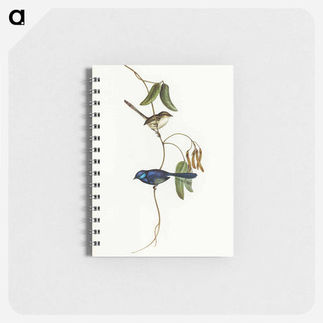 アートメモ帳-Banded Wren
 - オーストラリアの鳥 Memo.