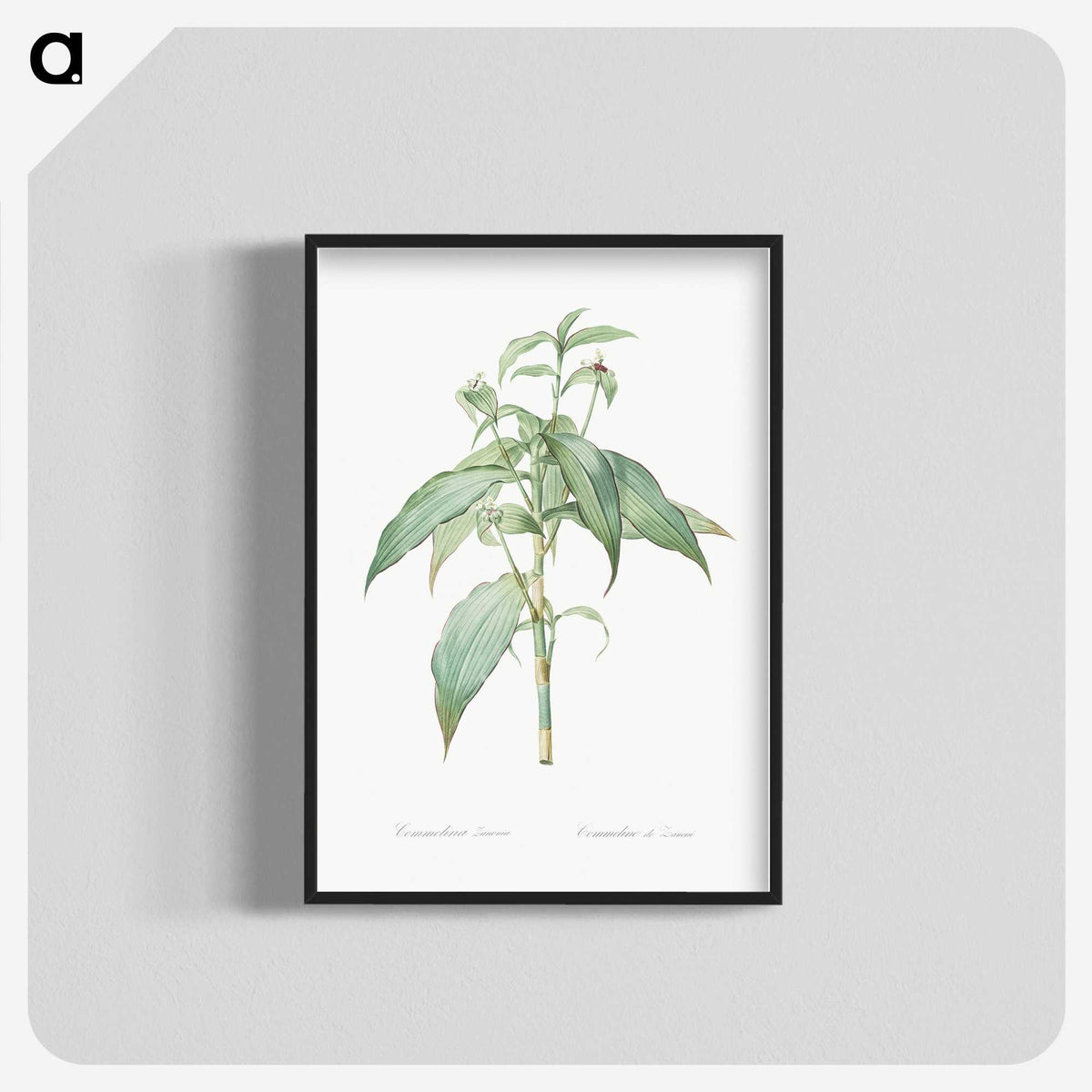 2-66_The-Lilies_blk-crop