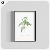 2-66_The-Lilies_blk