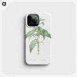 2-66_The-Lilies_phone