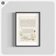 アートポスター-House Fly, Lavender Cotton, and Money Plant from Mira Calligraphiae Monumenta
 - 書道のお手本 Poster.