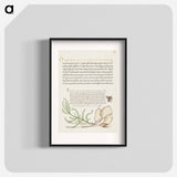 アートポスター-House Fly, Lavender Cotton, and Money Plant from Mira Calligraphiae Monumenta
 - 書道のお手本 Poster.