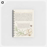 アートメモ帳-House Fly, Lavender Cotton, and Money Plant from Mira Calligraphiae Monumenta
 - 書道のお手本 Memo.