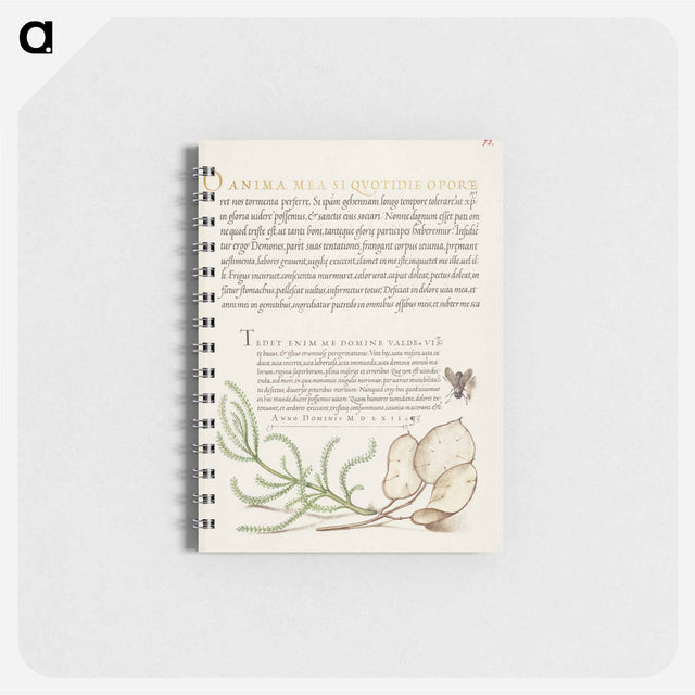 アートメモ帳-House Fly, Lavender Cotton, and Money Plant from Mira Calligraphiae Monumenta
 - 書道のお手本 Memo.