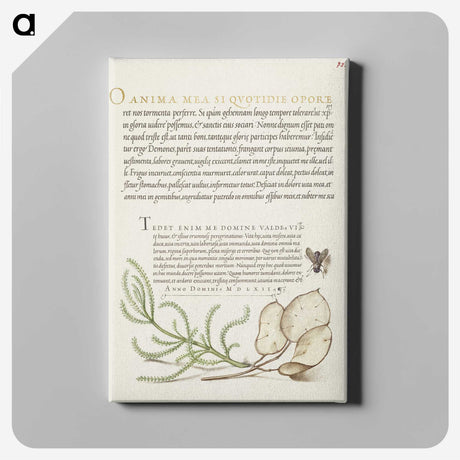 2-66_The-Model-Book-of-Calligraphy_canvas
