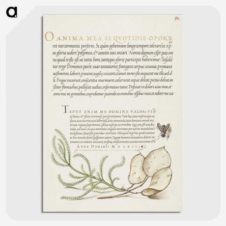 2-66_The-Model-Book-of-Calligraphy_picture-crop