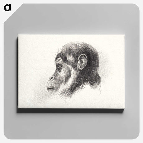 2-66_Theo-van-Hoytema_canvas