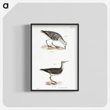 2-66_Zoology-of-New-York_blk-crop