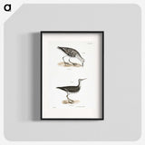 2-66_Zoology-of-New-York_blk